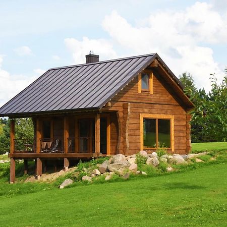 Vip Forest dreams villa Anykščiai Eksteriør bilde
