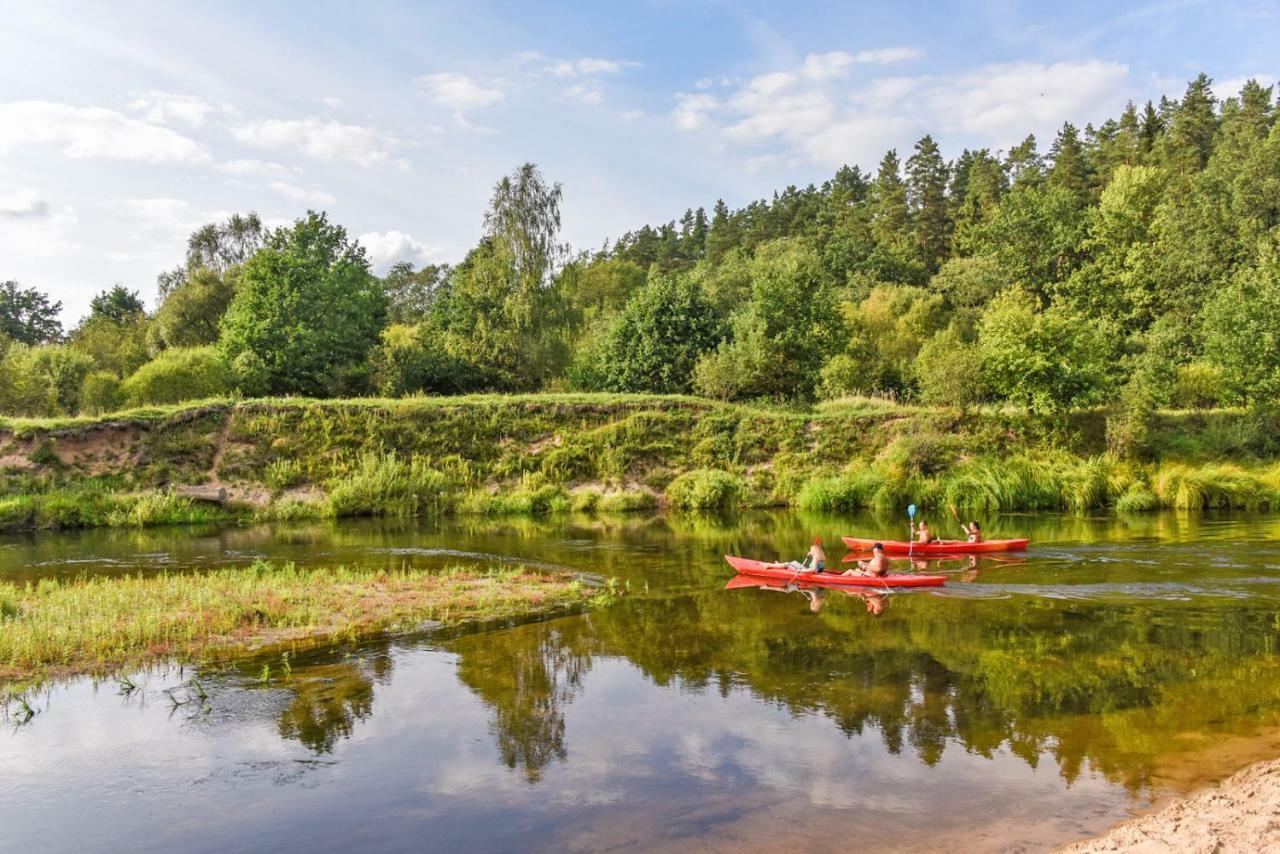 Vip Forest dreams villa Anykščiai Eksteriør bilde