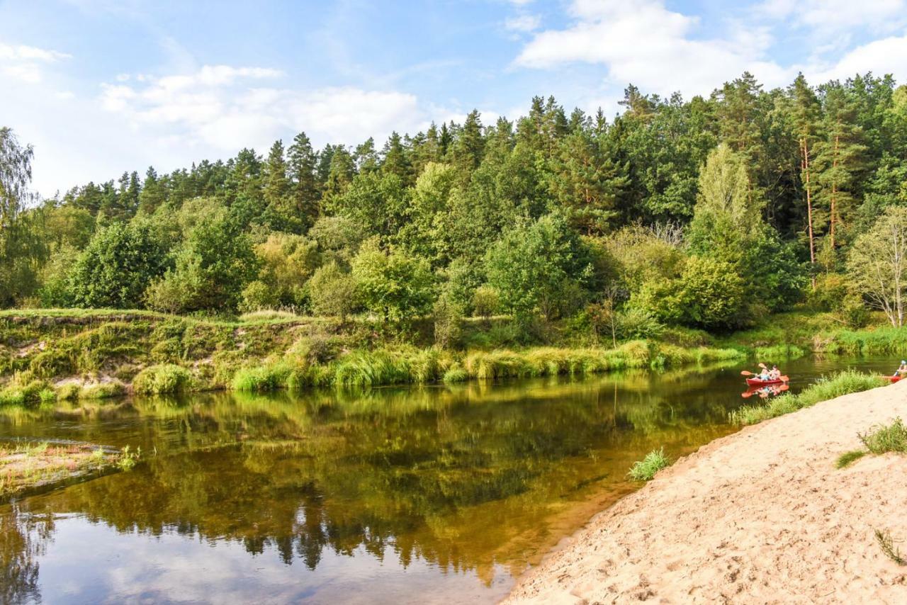 Vip Forest dreams villa Anykščiai Eksteriør bilde