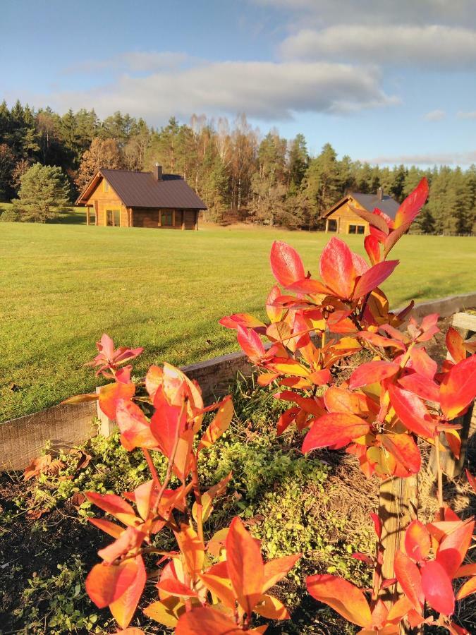 Vip Forest dreams villa Anykščiai Eksteriør bilde