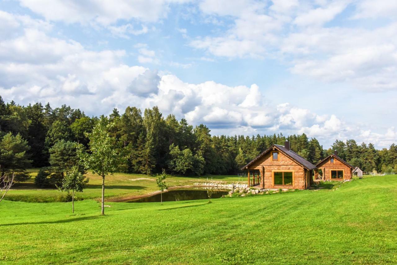 Vip Forest dreams villa Anykščiai Eksteriør bilde