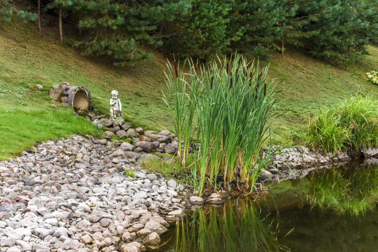 Vip Forest dreams villa Anykščiai Eksteriør bilde